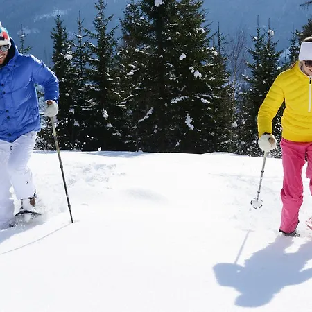 Alpen Eben Eben Im Pongau