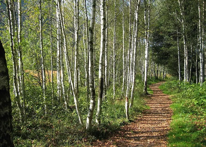 Alpen Eben * Eben Im Pongau